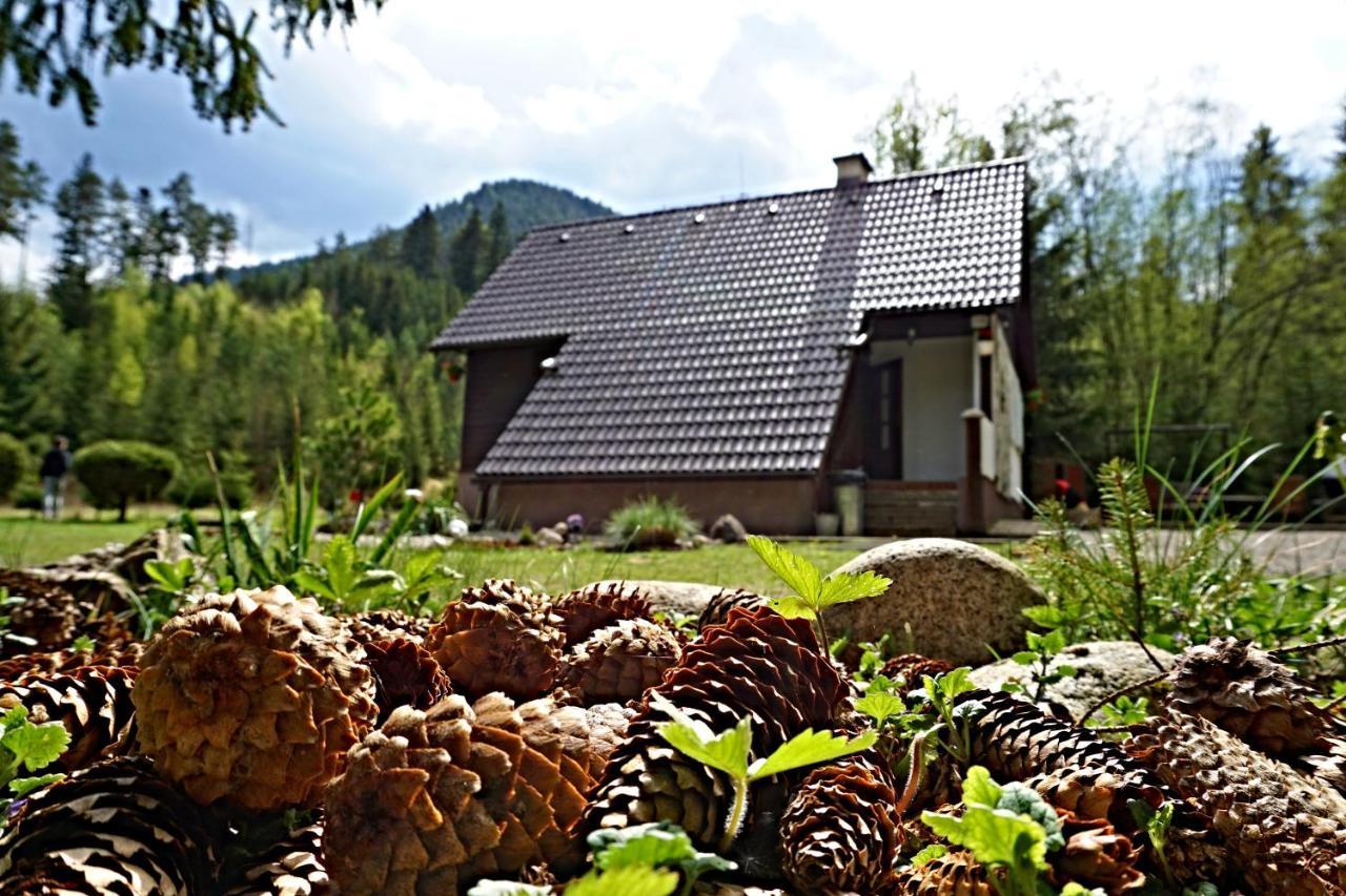 Chata Bacova Skala Liptovský Ján Extérieur photo